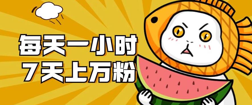暴力涨粉项目:每天一小时,七天上万粉【揭秘】-苏柒资源库