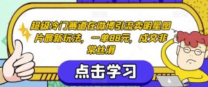 超级冷门赛道在微博引流卖明星图片最新玩法,一单88元,成交非常丝滑【揭秘】-苏柒资源库