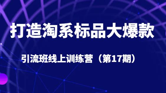 打造淘系标品大爆款引流班线上训练营（第17期）5天直播授课-苏柒资源库