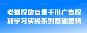 老猫投放巨量千川广告投放学习实操系列基础逻辑-苏柒资源库