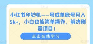 小红书印钞机——号成单账号月入5k+,小白也能简单操作,解决刚需项目【揭秘】-苏柒资源库