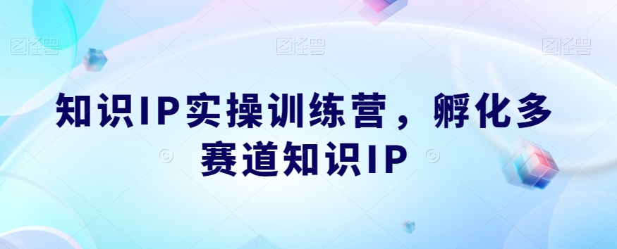 知识IP实操训练营，​孵化多赛道知识IP-苏柒资源库