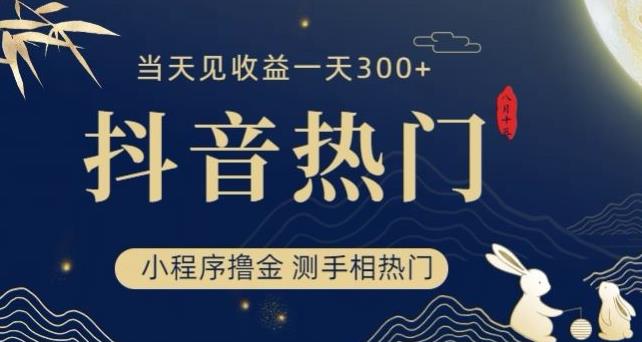 抖音最新小程序撸金，测手相上热门，当天见收益一小时变现300+【揭秘】-苏柒资源库