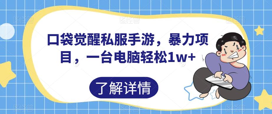口袋觉醒私服手游，暴力项目，一台电脑轻松1w+【揭秘】-苏柒资源库