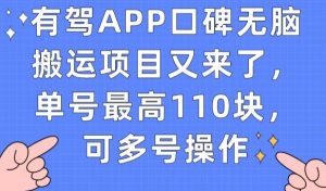 有驾APP口碑无脑搬运项目又来了,单号最高110块,可多号操作-苏柒资源库