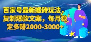 百家号最新搬砖玩法,复制爆款文案,每月稳定多赚2000-3000+【揭秘】-苏柒资源库