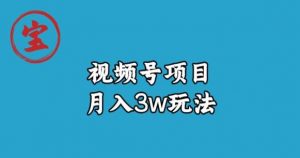 宝哥视频号无货源带货视频月入3w,详细复盘拆解-苏柒资源库