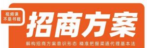 王昕招商方案,解构招商方案意识形态,精准把握渠道代理基本法-苏柒资源库