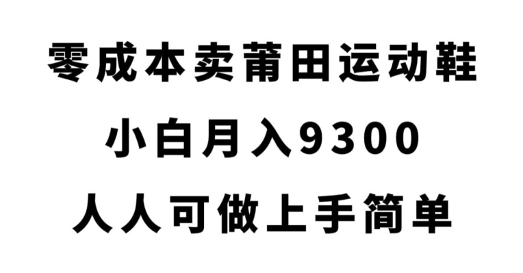 零成本卖莆田运动鞋，小白月入9300，人人可做上手简单【揭秘】-苏柒资源库