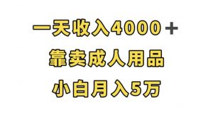 一天收入4000+,靠卖成人用品,小白轻松月入5万【揭秘】-苏柒资源库