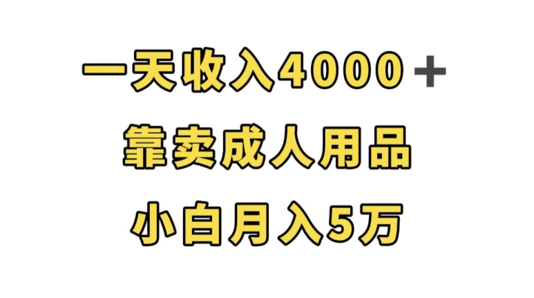 一天收入4000+，靠卖成人用品，小白轻松月入5万【揭秘】-苏柒资源库