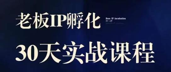 诸葛·2023老板IP实战课，实体同城引流获客，IP孵化必听-苏柒资源库