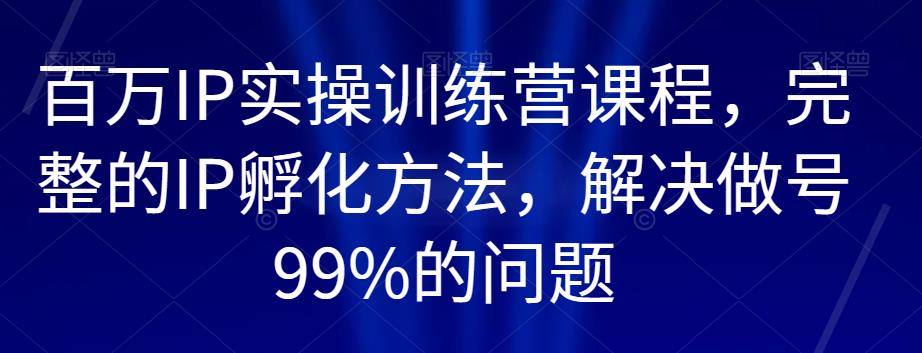 百万IP实操训练营课程,完整的IP孵化方法,解决做号99%的问题-苏柒资源库