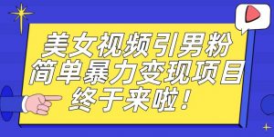 价值3980的男粉暴力引流变现项目，一部手机简单操作，新手小白轻松上手，每日收益500+【揭秘】-苏柒资源库