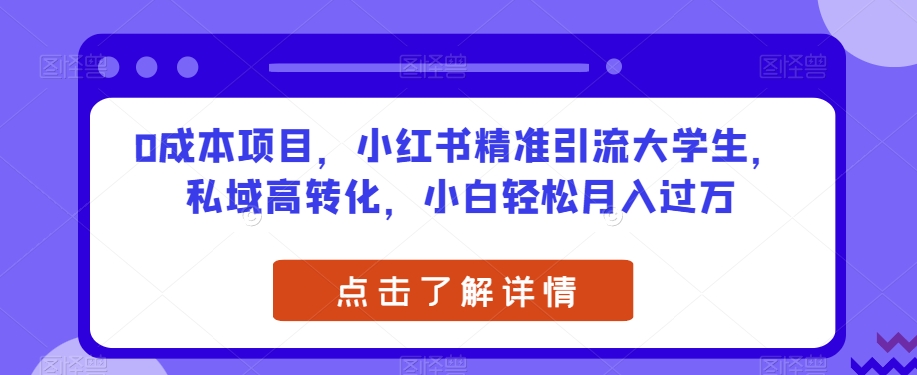0成本项目，小红书精准引流大学生，私域高转化，小白轻松月入过万【揭秘】-苏柒资源库