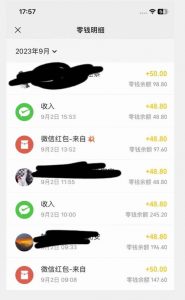 重磅揭秘!一个月9000+收益2023年9月最新yw男粉计划绿色玩法——人性利益更新玩法-苏柒资源库