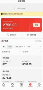 拼多多无人直播不封号玩法，0投入，3天必起，日入1000+-苏柒资源库