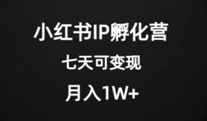 价值2000+的小红书IP孵化营项目,超级大蓝海,七天即可开始变现,稳定月入1W+-苏柒资源库