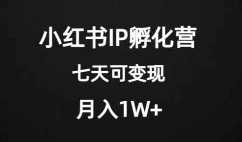 价值2000+的小红书IP孵化营项目，超级大蓝海，七天即可开始变现，稳定月入1W+-苏柒资源库