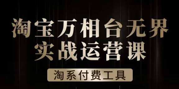 沧海·淘系万相台无界实战运营课，万相台无界实操全案例解析-苏柒资源库