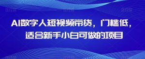 AI数字人短视频带货,门槛低,适合新手小白可做的项目-苏柒资源库