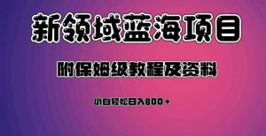 虚拟资源蓝海领域新项目，轻松日入800＋，附保姆级教程及资料-苏柒资源库