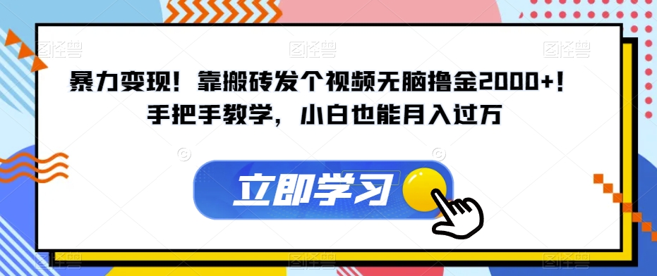 暴力变现！靠搬砖发个视频无脑撸金2000+！手把手教学，小白也能月入过万【揭秘】-苏柒资源库