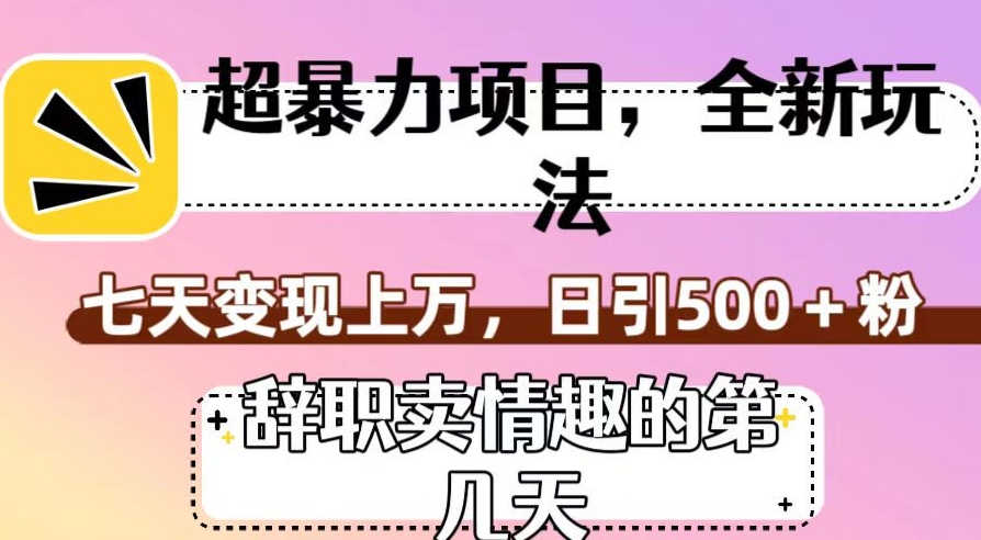 超暴利项目,全新玩法(辞职卖情趣的第几天),七天变现上万,日引500+粉【揭秘】-苏柒资源库
