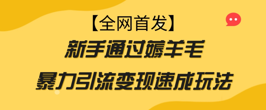 【全网首发】新手通过薅羊毛暴力引流变现速成玩法-苏柒资源库