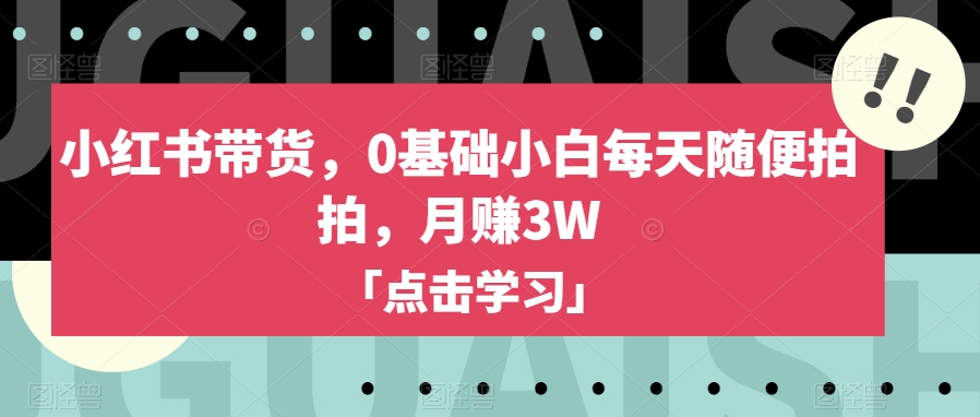 小红书带货，0基础小白每天随便拍拍，月赚3W【揭秘】-苏柒资源库