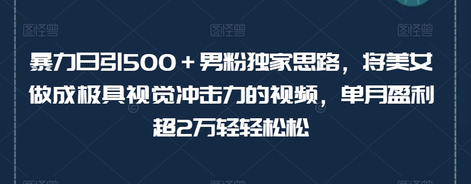 暴力日引500＋男粉独家思路，将美女做成极具视觉冲击力的视频，单月盈利超2万轻轻松松-苏柒资源库
