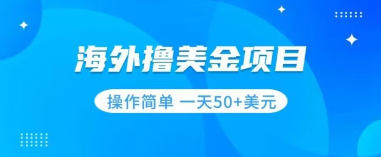 撸美金项目无门槛操作简单小白一天50+美刀-苏柒资源库
