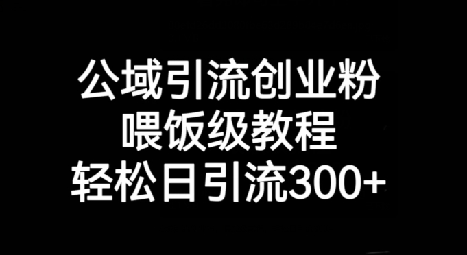 公域引流创业粉，喂饭级教程，轻松日引流300+【揭秘】-苏柒资源库
