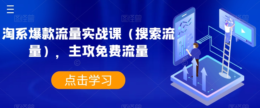 淘系爆款流量实战课（搜索流量），主攻免费流量-苏柒资源库