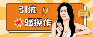 最新引流骚操作,单账号日引50-100,简单粗暴,适合于小白各行各业都可以进行操作,精准粉丝加到爆-苏柒资源库
