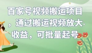 百家号视频搬运项目，通过搬运视频放大收益，可批量起号【揭秘】-苏柒资源库