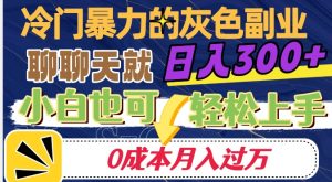 冷门暴利的副业项目，聊聊天就能日入300+，0成本月入过万【揭秘】-苏柒资源库