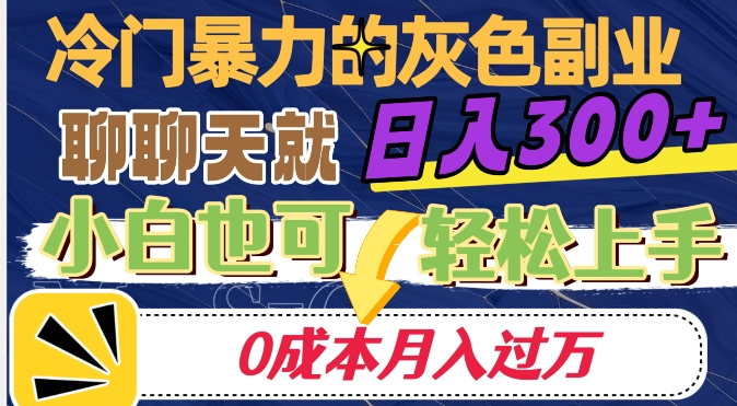 冷门暴利的副业项目，聊聊天就能日入300+，0成本月入过万【揭秘】-苏柒资源库