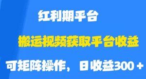 搬运视频获取平台收益，平台红利期，附保姆级教程【揭秘】-苏柒资源库