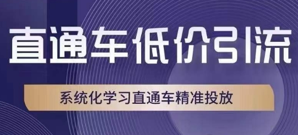 直通车低价引流课，系统化学习直通车精准投放-苏柒资源库