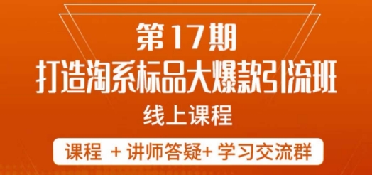 南掌柜-第17期打造淘系标品大爆款，5天线上课-苏柒资源库