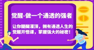 觉醒-做一个通透的强者,让你醍醐灌顶,拥有通透人生的觉醒开悟课,掌握强大的秘密!-苏柒资源库