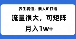 养生赛道,素人IP打造,流量很大,可矩阵,月入1w+【揭秘】-苏柒资源库