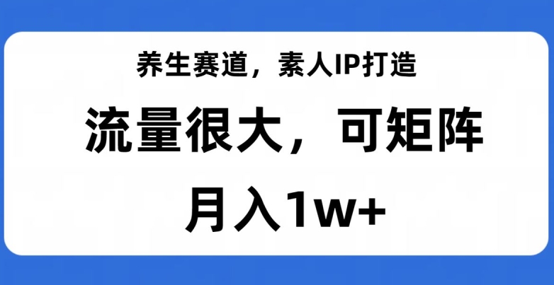 养生赛道，素人IP打造，流量很大，可矩阵，月入1w+【揭秘】-苏柒资源库