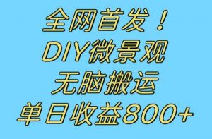 全网首发冷门赛道!DIY微景观,无脑搬运视频,日收益800+【揭秘】-苏柒资源库