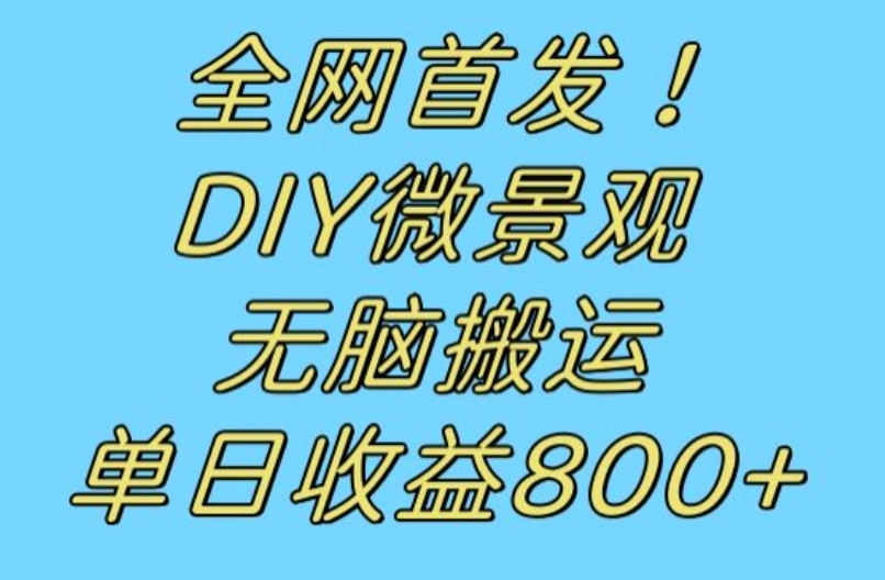 全网首发冷门赛道！DIY微景观，无脑搬运视频，日收益800+【揭秘】-苏柒资源库