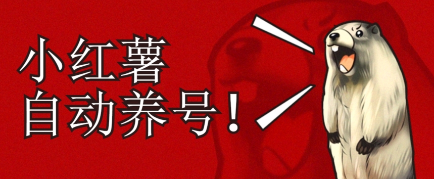 小红书养号秘籍，如何自动涨粉清晰系统标签打造高权重账号【揭秘】-苏柒资源库