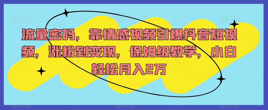 流量密码，靠情感视频引爆抖音短视频，涨粉到变现，保姆级教学，小白轻松月入2万【揭秘】-苏柒资源库