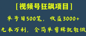 日收款500笔，纯利润3000+，视频号狂飙项目，会简单剪辑就能做【揭秘】-苏柒资源库