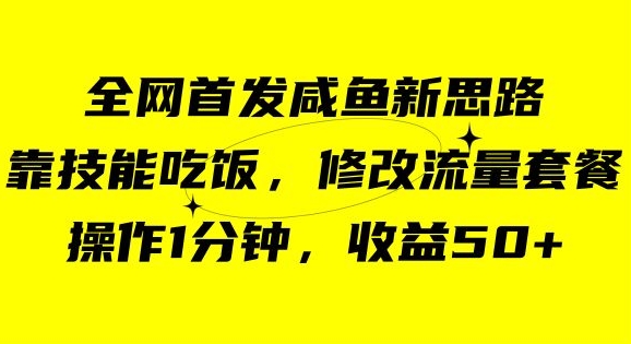 咸鱼冷门新玩法，靠“技能吃饭”，修改流量套餐，操作1分钟，收益50【揭秘】-苏柒资源库